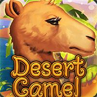 DESERT CAMEL - AstroTech