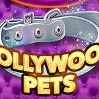 HOLLYWOOD PETS - CQ9
