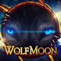 WOLF MOON - CQ9
