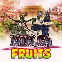 Ninja Fruits - Play'n GO