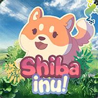 Shiba Inu - Gamatron