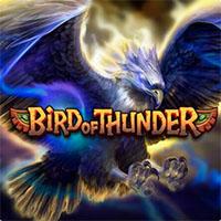 BIRD OF THUNDER - Habanero