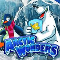 ARCTIC WONDERS - Habanero