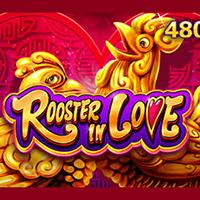 Rooster In Love - JDB