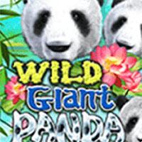 WILD GIANT PANDA - Joker Gaming