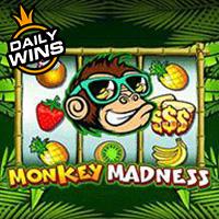 MONKEY MADNES - Pragmatic Play