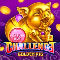 FEATURE BUY - Golden Pig - PlayStar