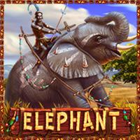 Elephant - PlayStar