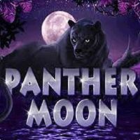 Panther Moon - Playtech