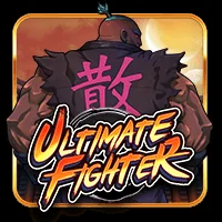 Ultimate fighter - Top Trend Gaming